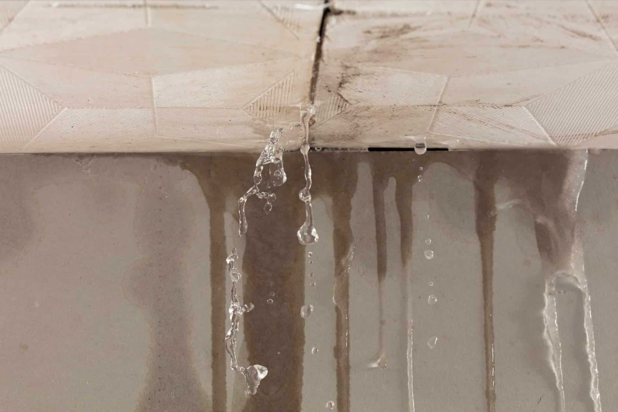 Wasserschaden in der Mietwohnung - Erkennen, Sanieren und Vorbeugen - Alles wichtige für Eigentümer und Mieter